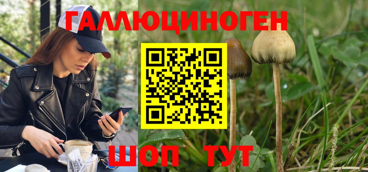 Галлюциногенные грибы прущие грибы Курчатов