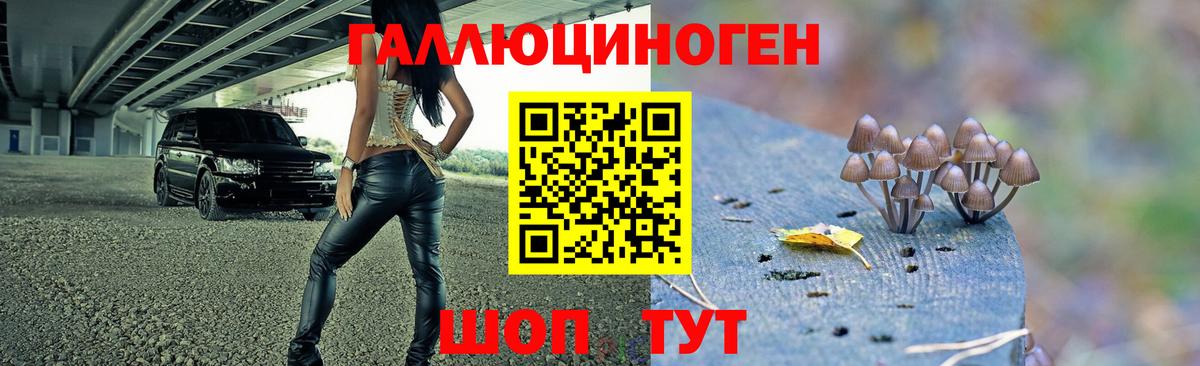 Псилоцибиновые грибы Magic Shrooms  Курчатов  Галлюциногенные грибы GOLDEN TEACHER 