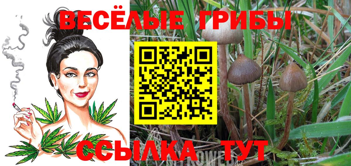 Галлюциногенные грибы MAGIC MUSHROOMS  Вход с VPN  Курчатов  Псилоцибиновые грибы Psilocybine cubensis 