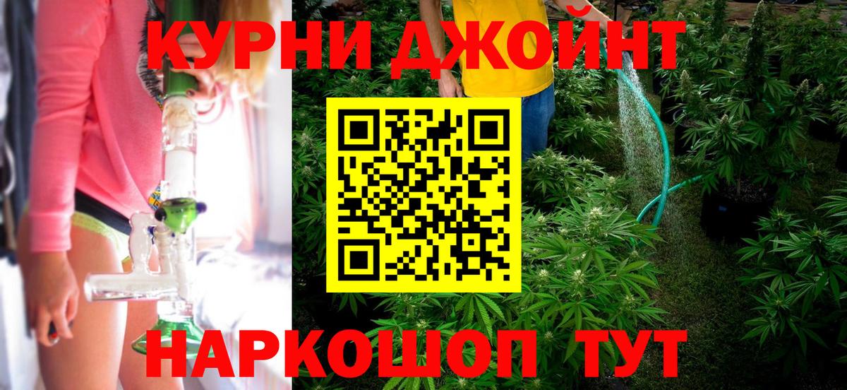 Бошки марихуана план  Конопля гибрид  Вход с VPN  Курчатов 